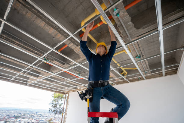 Best Best Plumbers Near Me  in Mount Carmel, TN